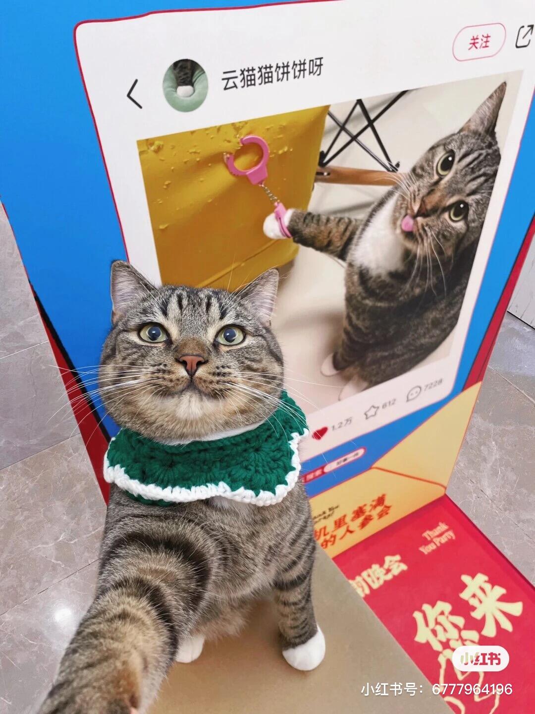 摊牌了，就是我们给小红书办了场好心人答谢晚会-广告人干货库