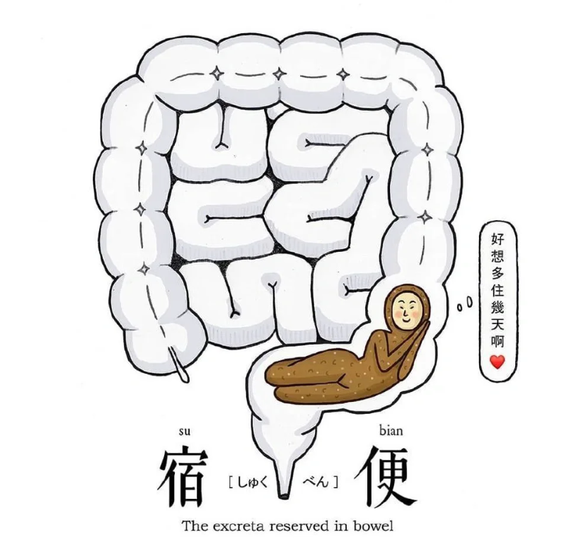 广告人干货库 台湾社会级插画,大人看了才懂!真是太真实了,一秒笑出声!-广告人干货库