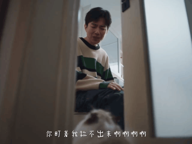 广告人干货库 京东宠物:你有一个神奇的「毛绒创可贴」待领取-广告人干货库