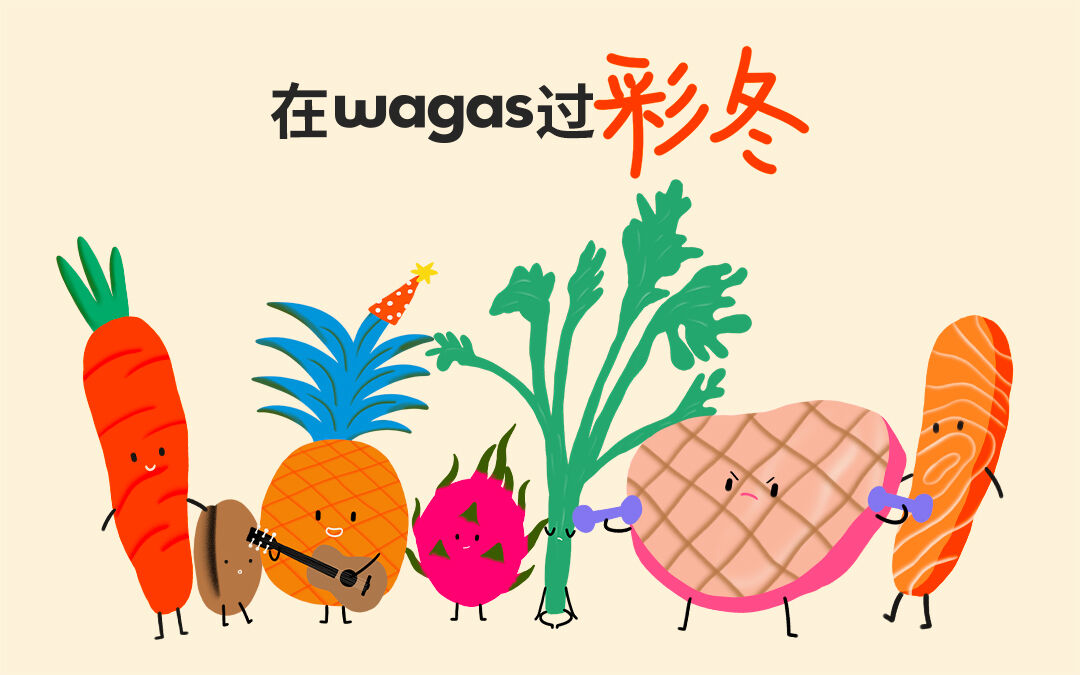 广告人干货库 Wagas:给冬天点颜色看看-广告人干货库
