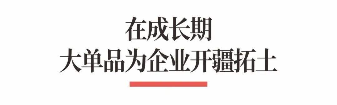 广告人干货库 超级品牌体系36讲之26-爆品篇-战略大单品-广告人干货库