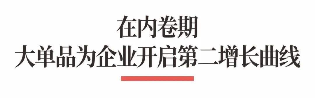 广告人干货库 超级品牌体系36讲之26-爆品篇-战略大单品-广告人干货库