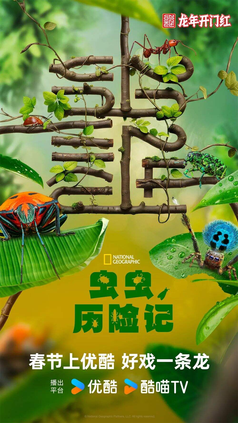 广告人干货库 “龍”字还可以这样玩?优酷龙年主标识惊艳亮相!-广告人干货库
