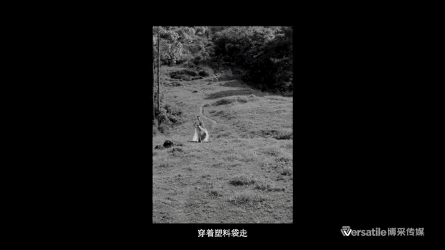 广告人干货库 茶派×陆仙人:一个凡人,要如何才能成为仙人?-广告人干货库