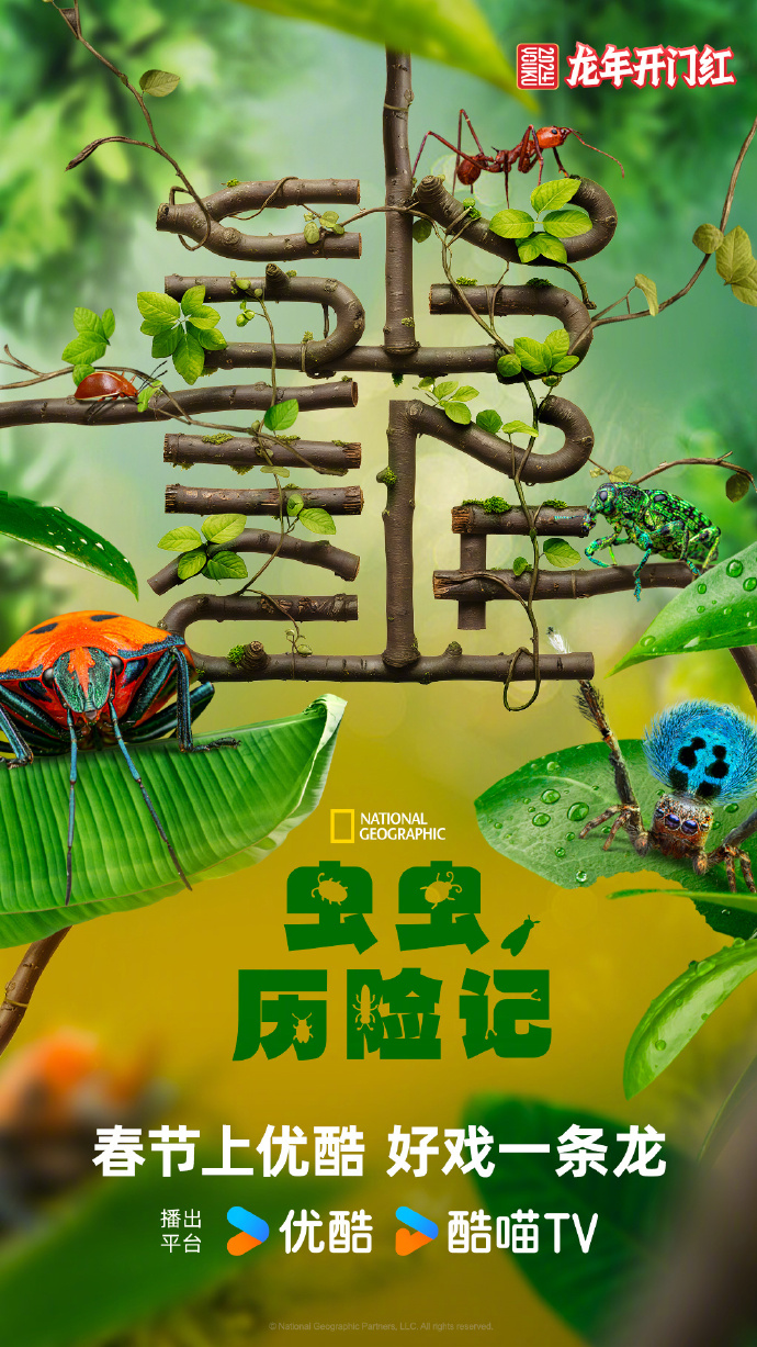 优酷官宣2024龙年主标识-广告人干货库