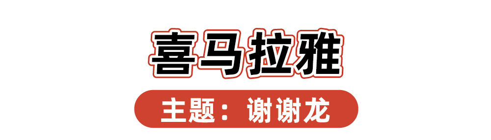 2024品牌新年礼盒大赏，“羡慕”二字说累了-广告人干货库