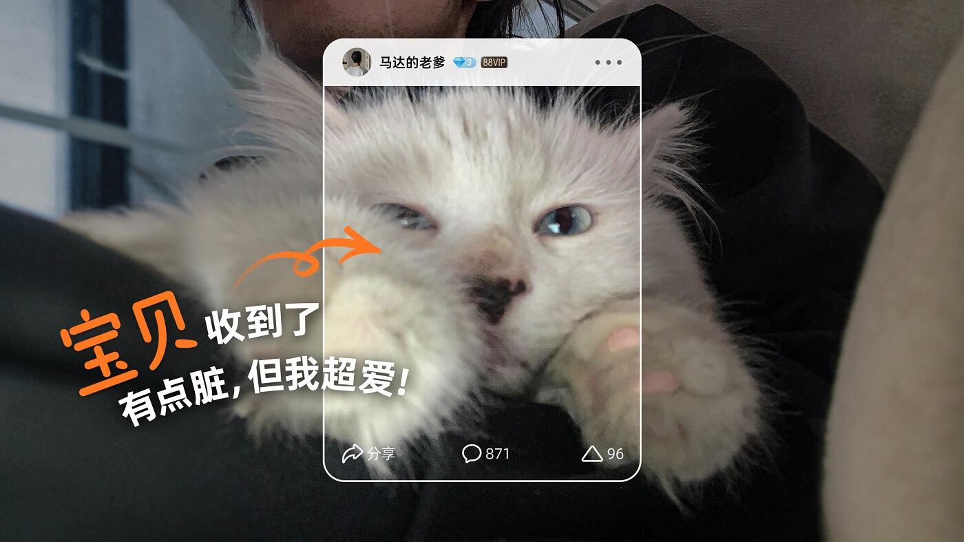 广告人干货库 淘宝春节:是归乡的游子,也是待签收的宝贝-广告人干货库