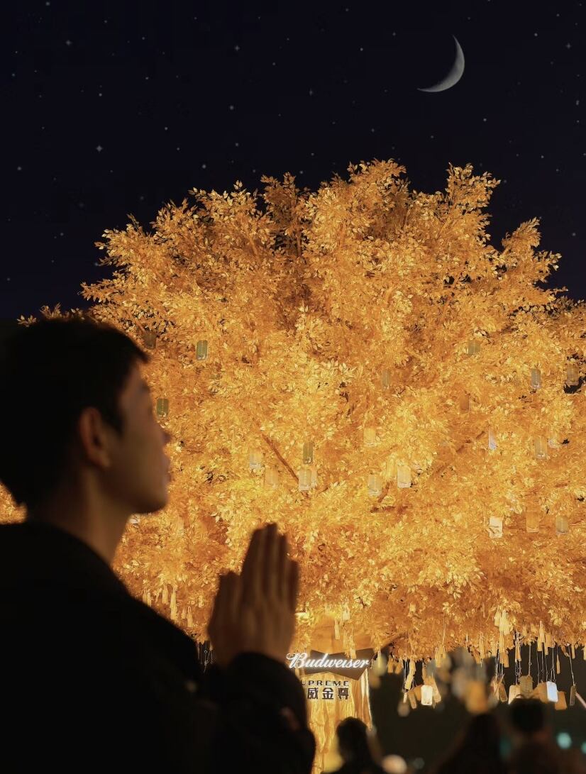 广告人干货库 百威春节营销:金运树下,抱财回家-广告人干货库