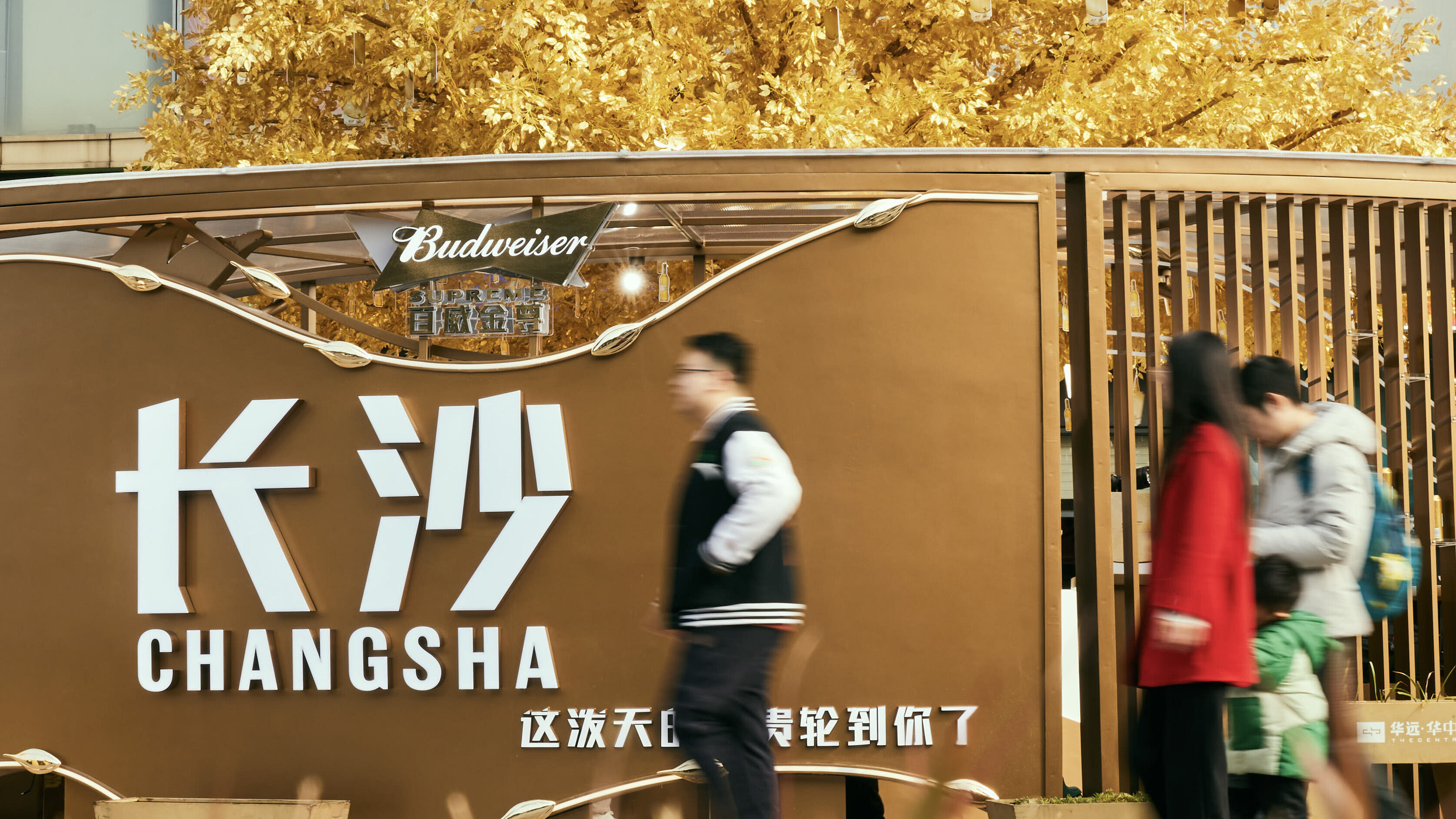 广告人干货库 百威春节营销:金运树下,抱财回家-广告人干货库