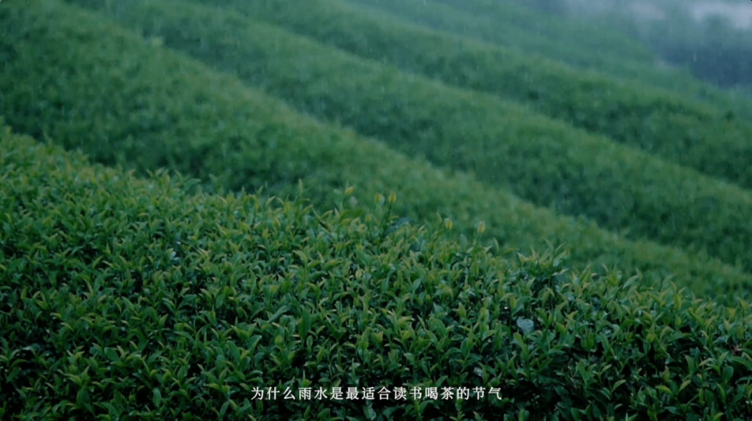 广告人干货库 饿了么「雨水饮茶文学」,这些名言让上班喝茶很有理由!-广告人干货库