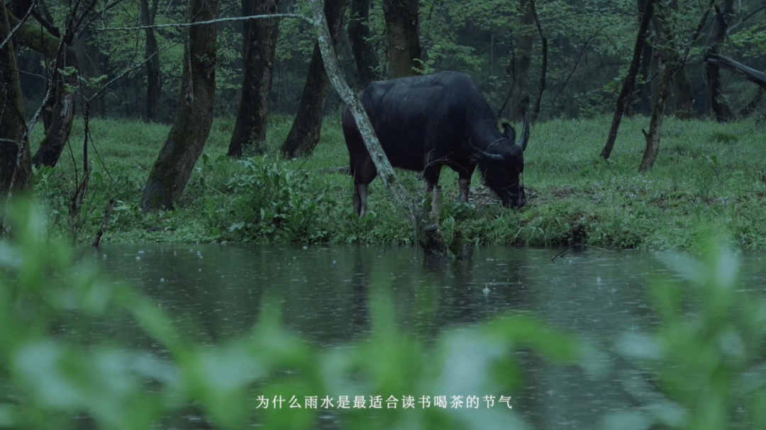 广告人干货库 饿了么「雨水饮茶文学」,这些名言让上班喝茶很有理由!-广告人干货库