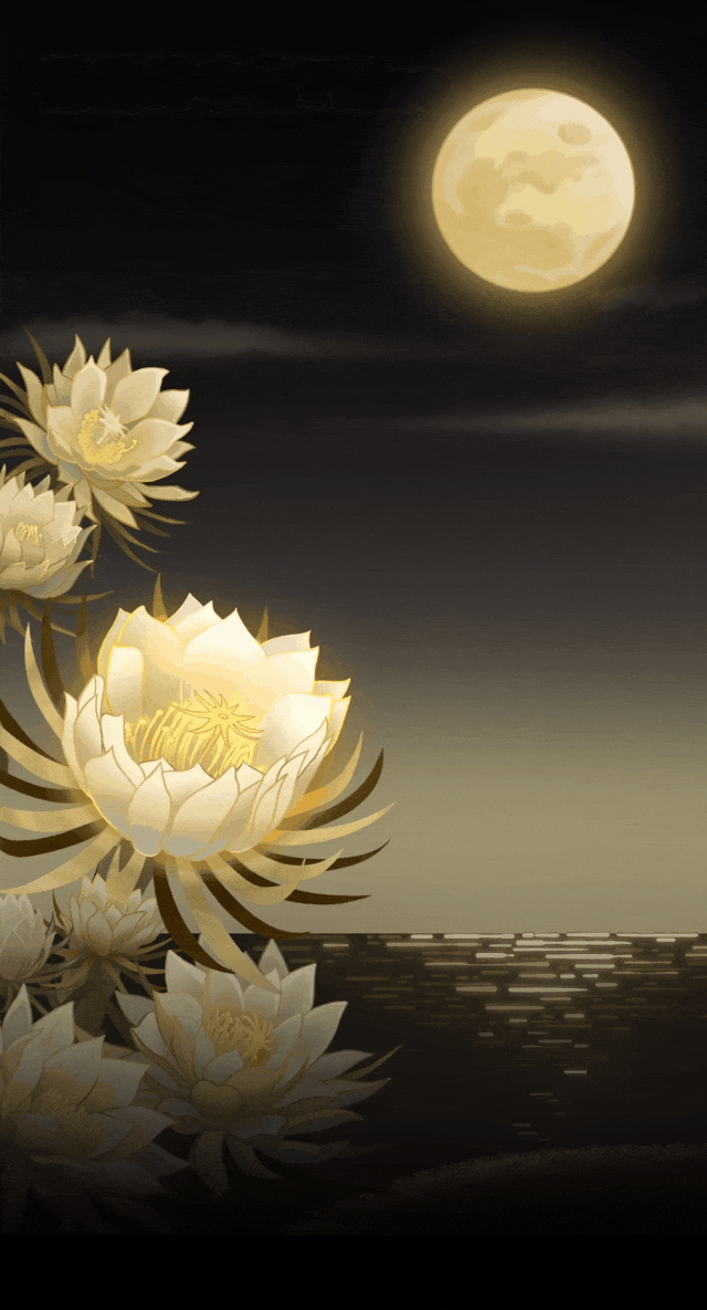 娇韵诗中秋视频 | 月神花开 拂狸邀您共赏-广告人干货库