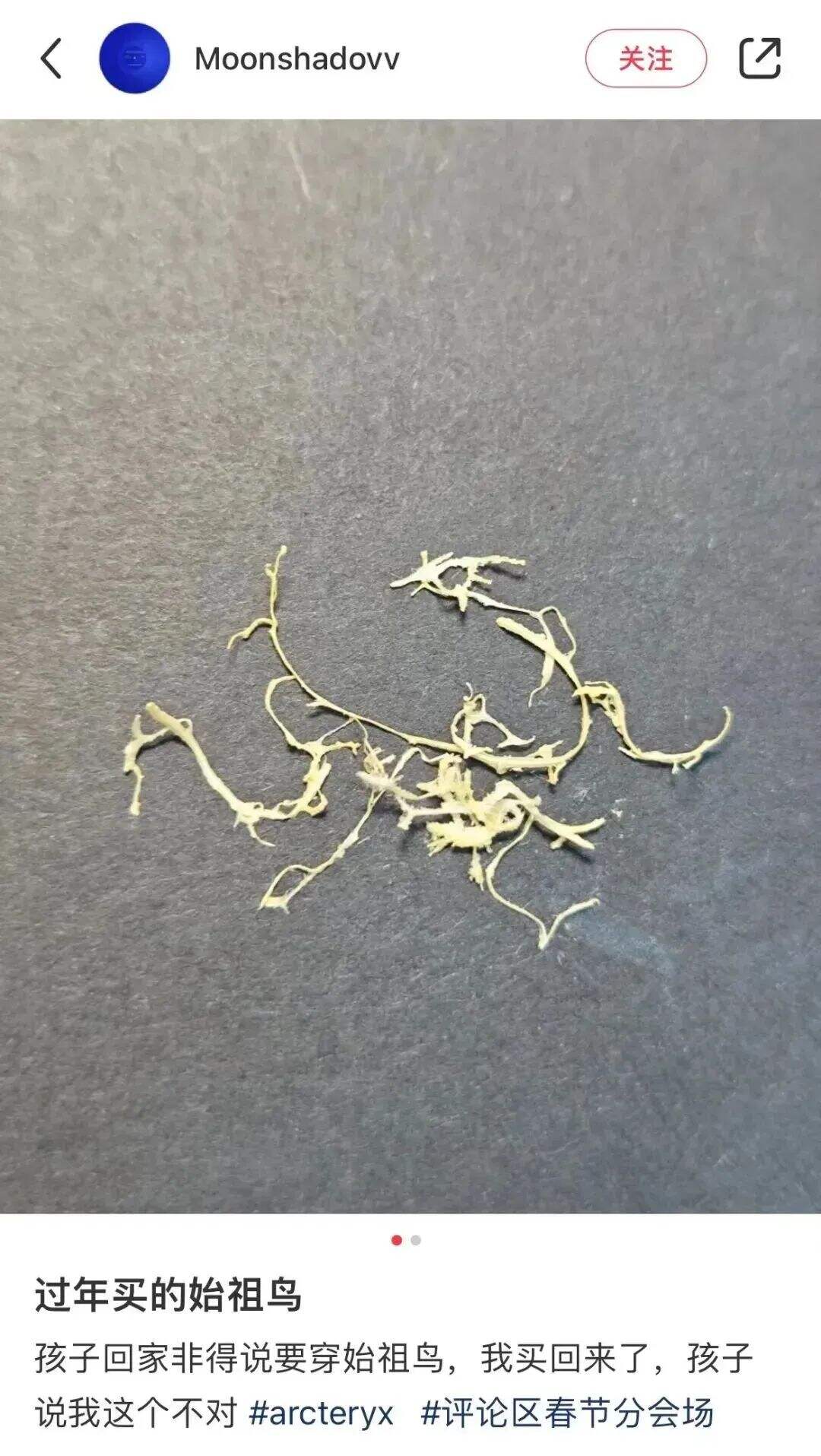 广告人干货库 网友爆改logo,好玩又好笑 哈哈哈哈哈!!-广告人干货库
