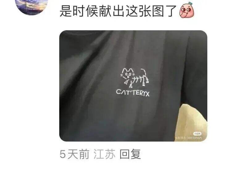 广告人干货库 网友爆改logo,好玩又好笑 哈哈哈哈哈!!-广告人干货库