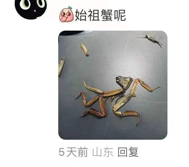 广告人干货库 网友爆改logo,好玩又好笑 哈哈哈哈哈!!-广告人干货库