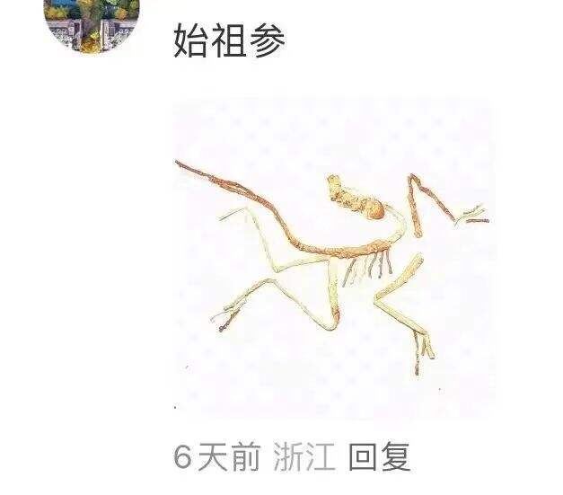 广告人干货库 网友爆改logo,好玩又好笑 哈哈哈哈哈!!-广告人干货库