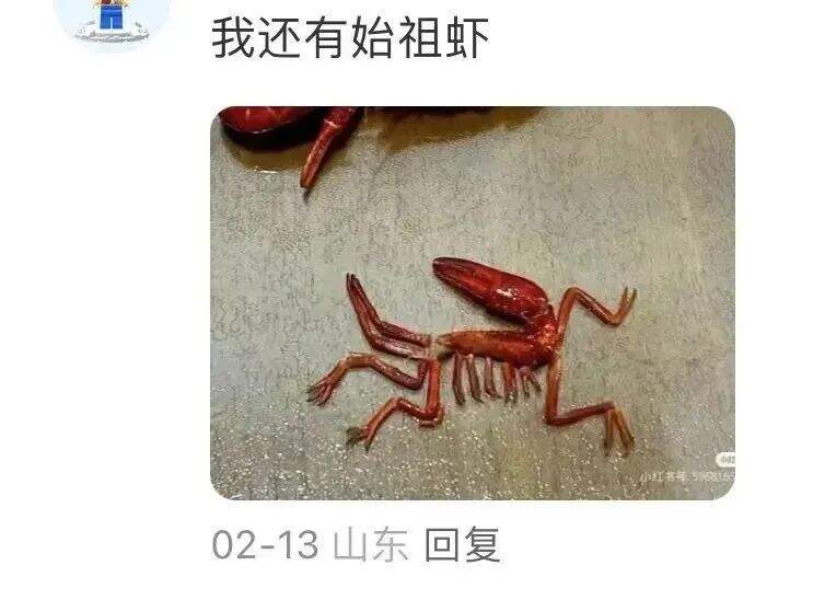 广告人干货库 网友爆改logo,好玩又好笑 哈哈哈哈哈!!-广告人干货库