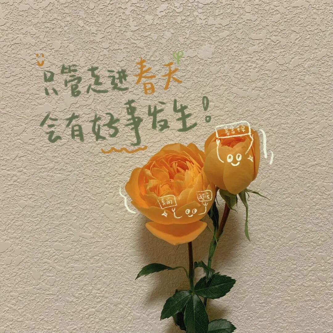 广告人干货库 小众却很惊艳的文案-广告人干货库