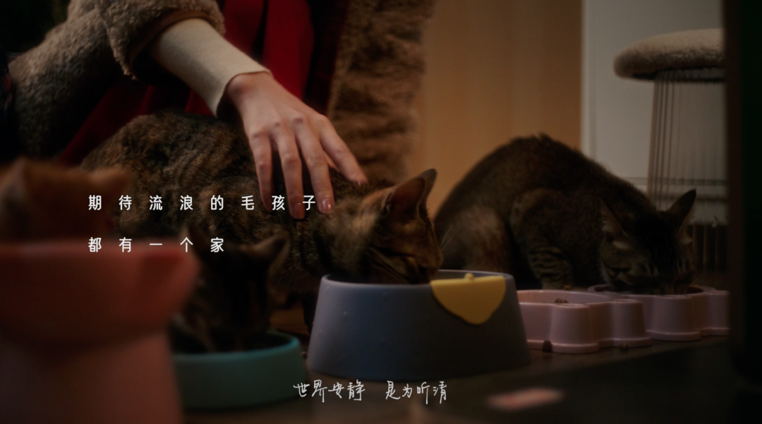 招联：今年春节，我们给一只蛇皮袋做了次推广？？！-广告人干货库