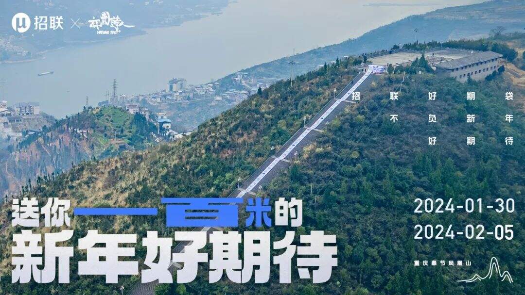 广告人干货库 招联:今年春节,我们给一只蛇皮袋做了次推广??!-广告人干货库