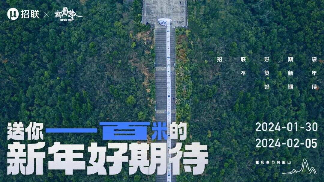 招联：今年春节，我们给一只蛇皮袋做了次推广？？！-广告人干货库