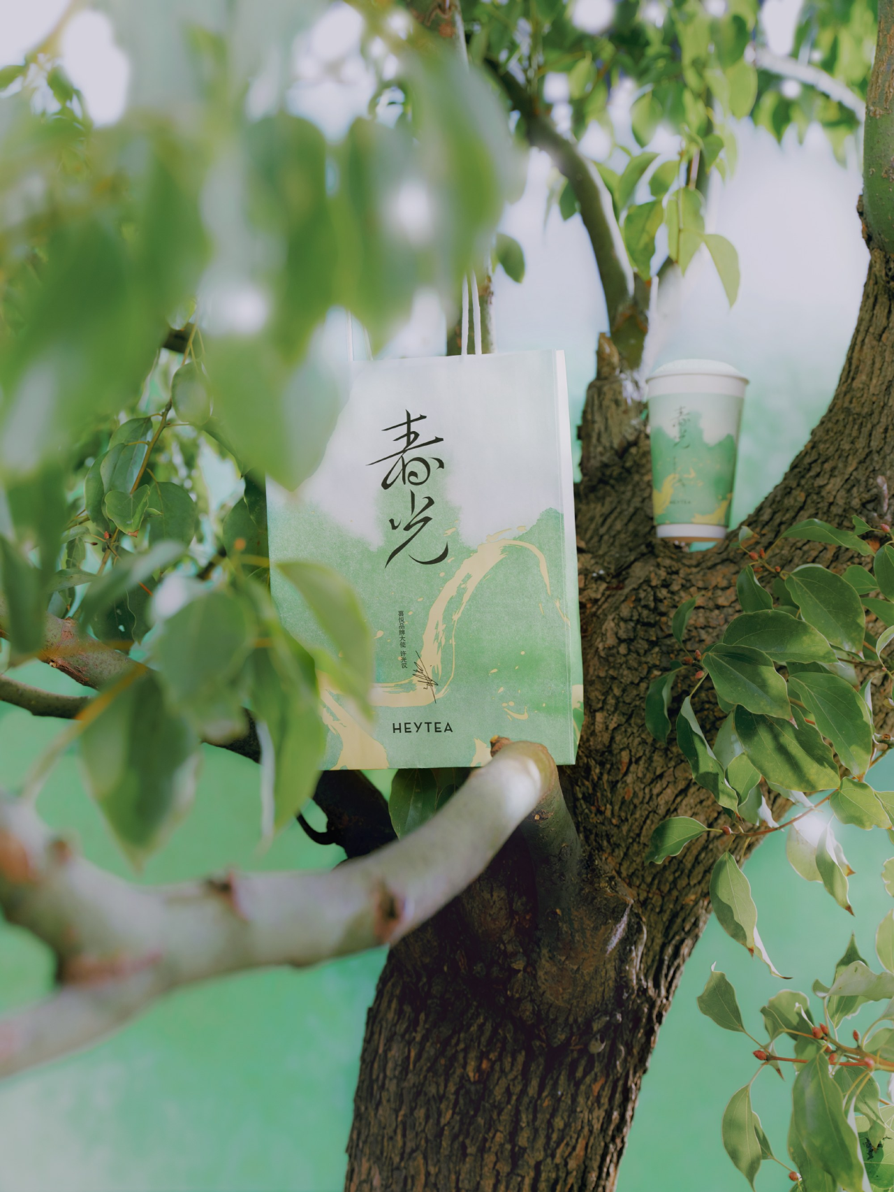 喜茶宣布与品牌大使许光汉联名推新-广告人干货库