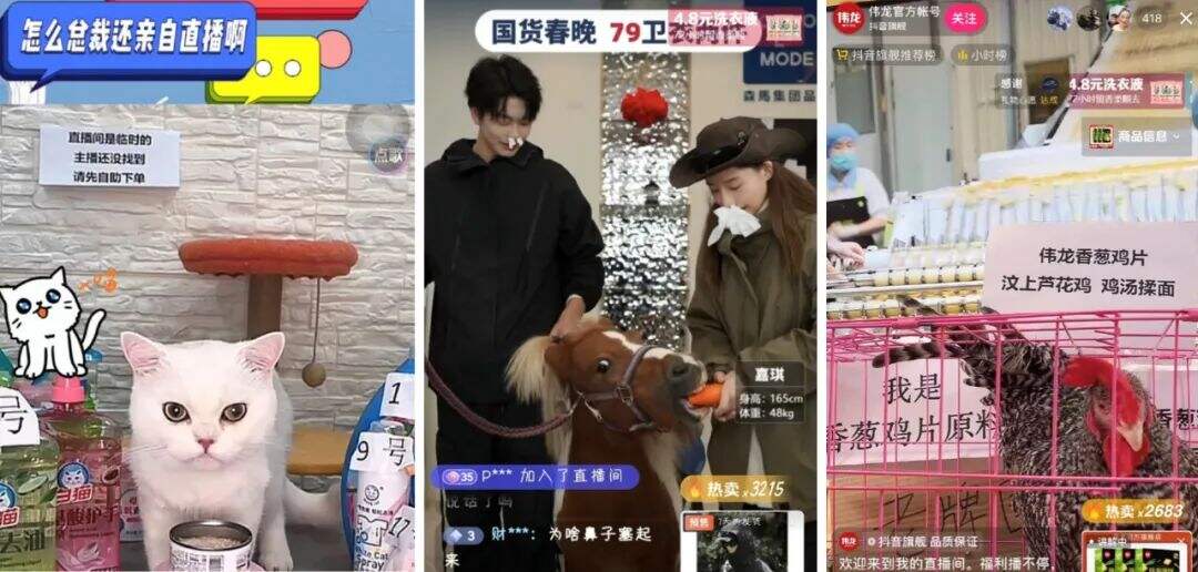 2024，做一个听劝的品牌-广告人干货库