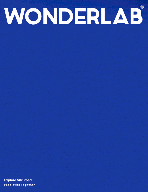广告人干货库 Wonderlab X 東西制造局 | 传统文化与时尚美学的共振-广告人干货库