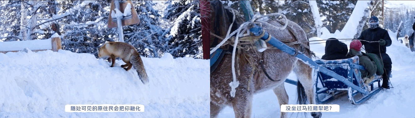 广告人干货库 一次带着创意执念主动奔赴甲方的奇妙之旅:躲进雪里过冬天-广告人干货库