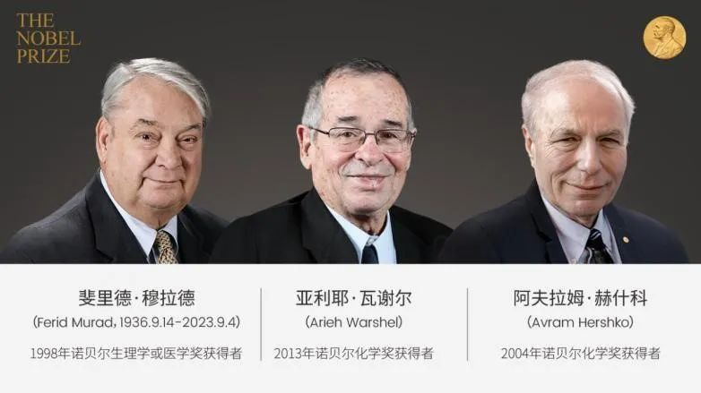 315点名听花酒之后，谁在公关-广告人干货库