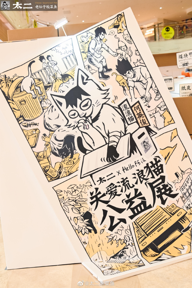 太二为流浪猫送出铁饭碗-广告人干货库