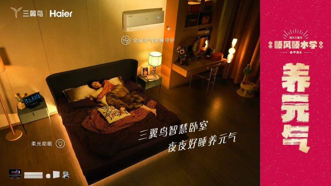 三翼鸟“顺风顺水学”，带来好运财运桃花运！-广告人干货库
