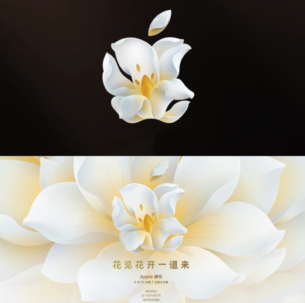 广告人干货库 苹果全球第二大新店开业,发布“白玉兰”限定logo-广告人干货库