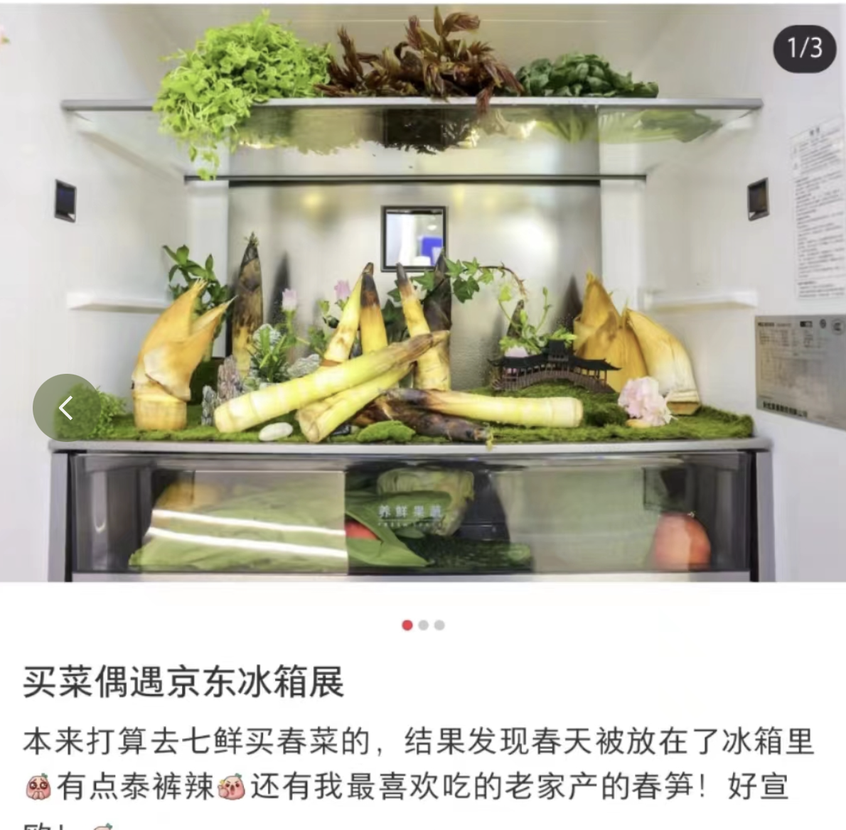 广告人干货库 一场特别的春日保鲜行动,唤醒了谁的春日味蕾?-广告人干货库