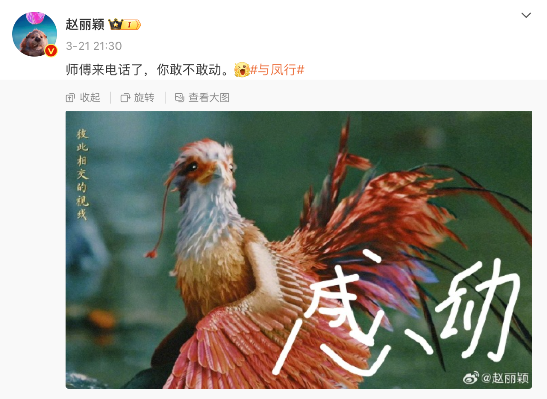 错别字引发的惨案：国泰君安研报分析“过度LU管”-广告人干货库
