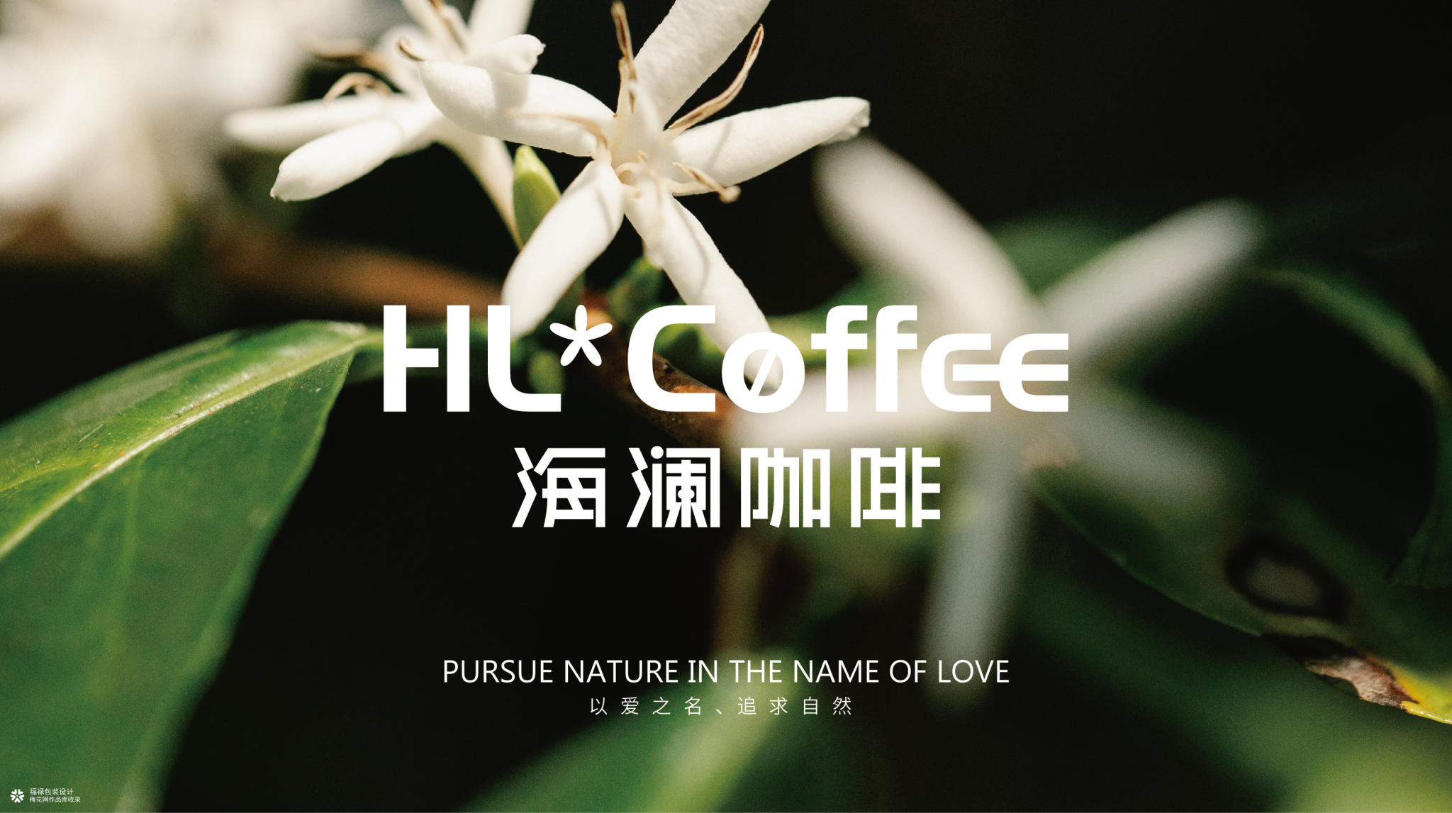 HL*COFFEE海澜咖啡 I 品牌设计案例-广告人干货库