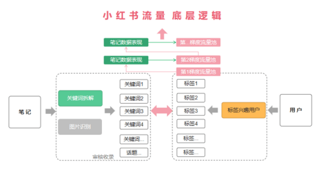 小红书推荐流、搜索流、直播流的分发逻辑-广告人干货库