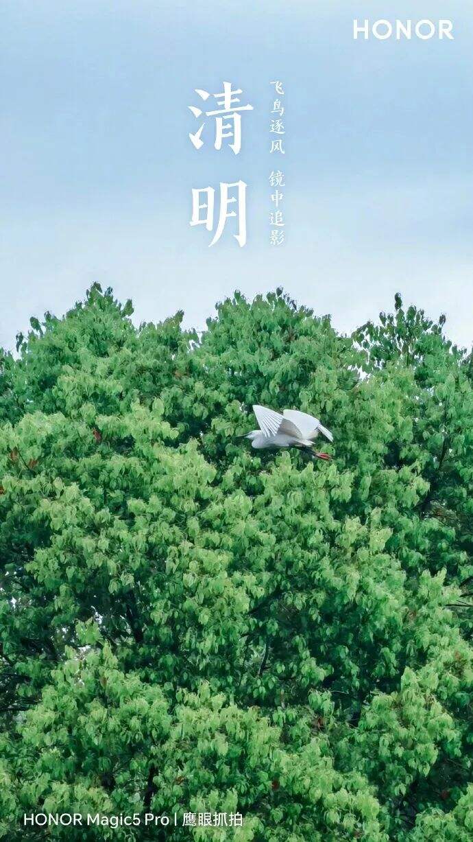 广告人干货库 喜欢的8句清明节文案-广告人干货库