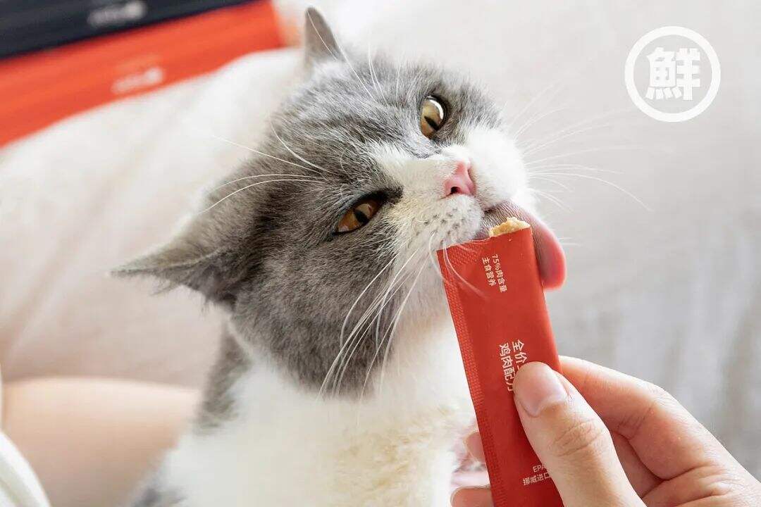 广告人干货库 品味到位的宠物粮包装,开创宠物轻食新时代!-广告人干货库