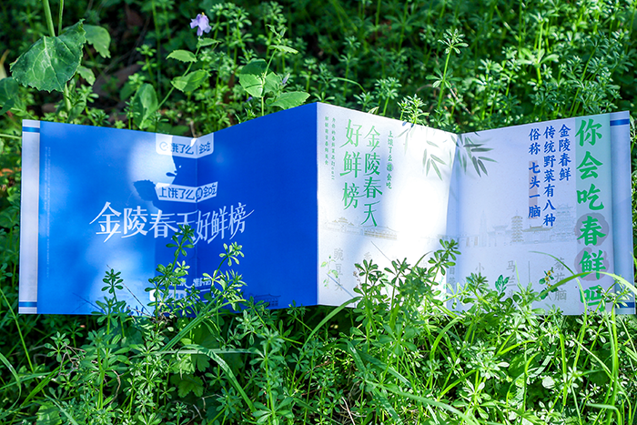广告人干货库 饿了么会吃,给春鲜菜办了一场选秀-广告人干货库