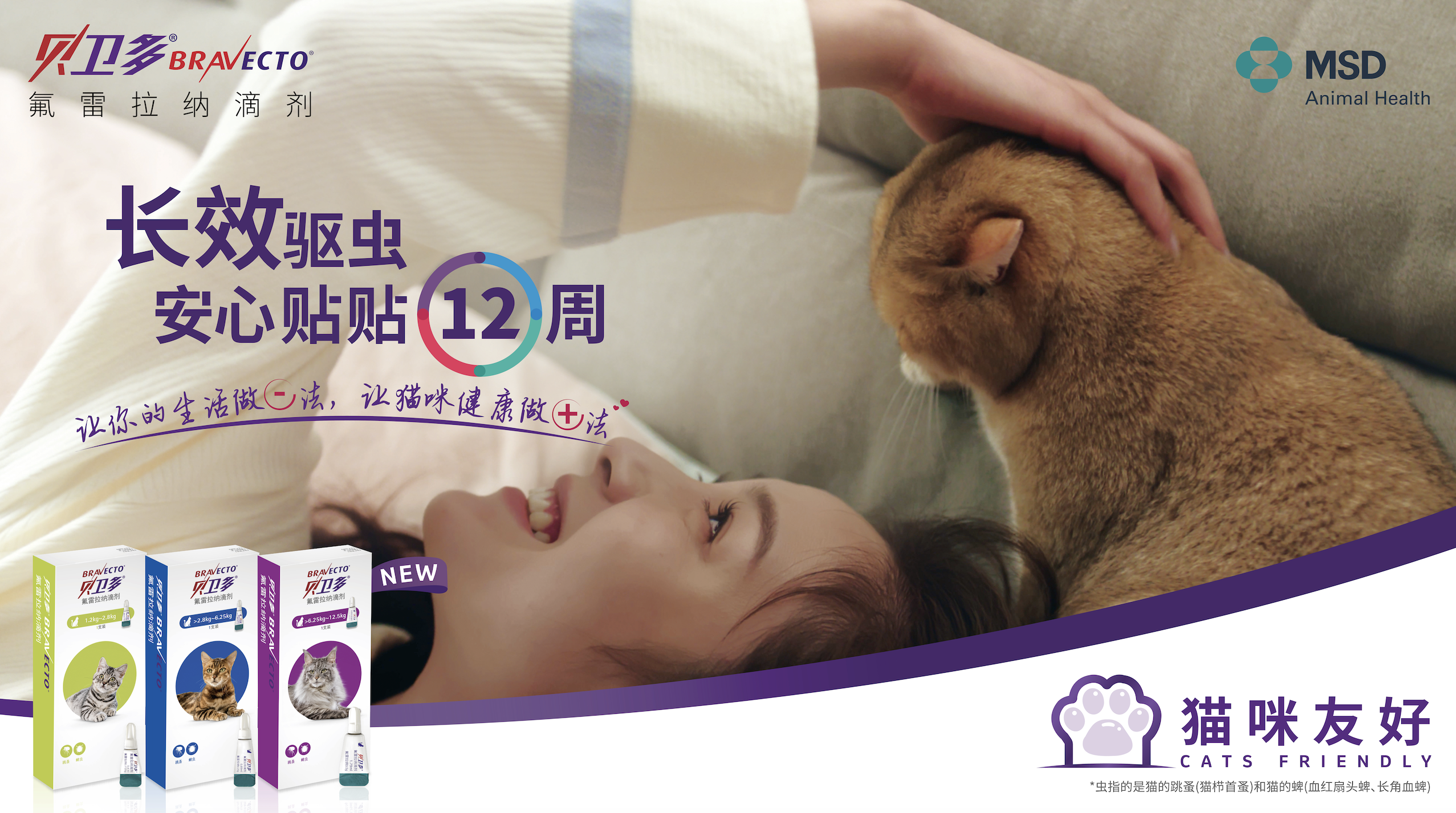 广告人干货库 在?进来看看猫片-广告人干货库