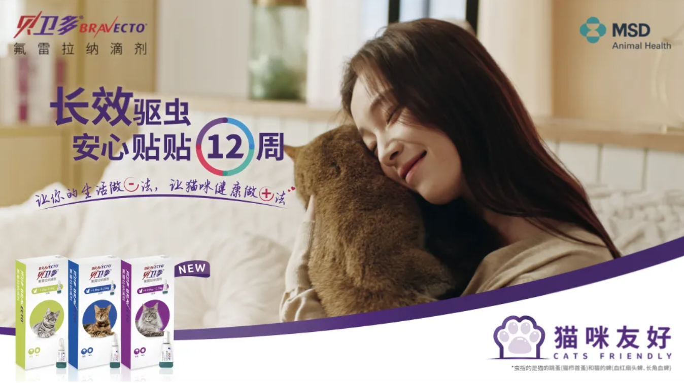广告人干货库 在?进来看看猫片-广告人干货库