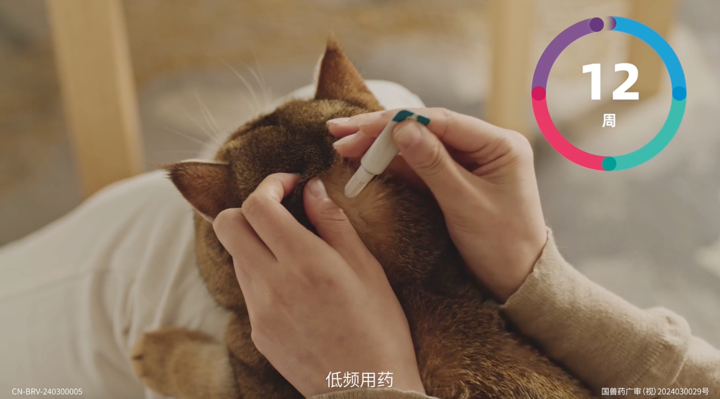 广告人干货库 在?进来看看猫片-广告人干货库