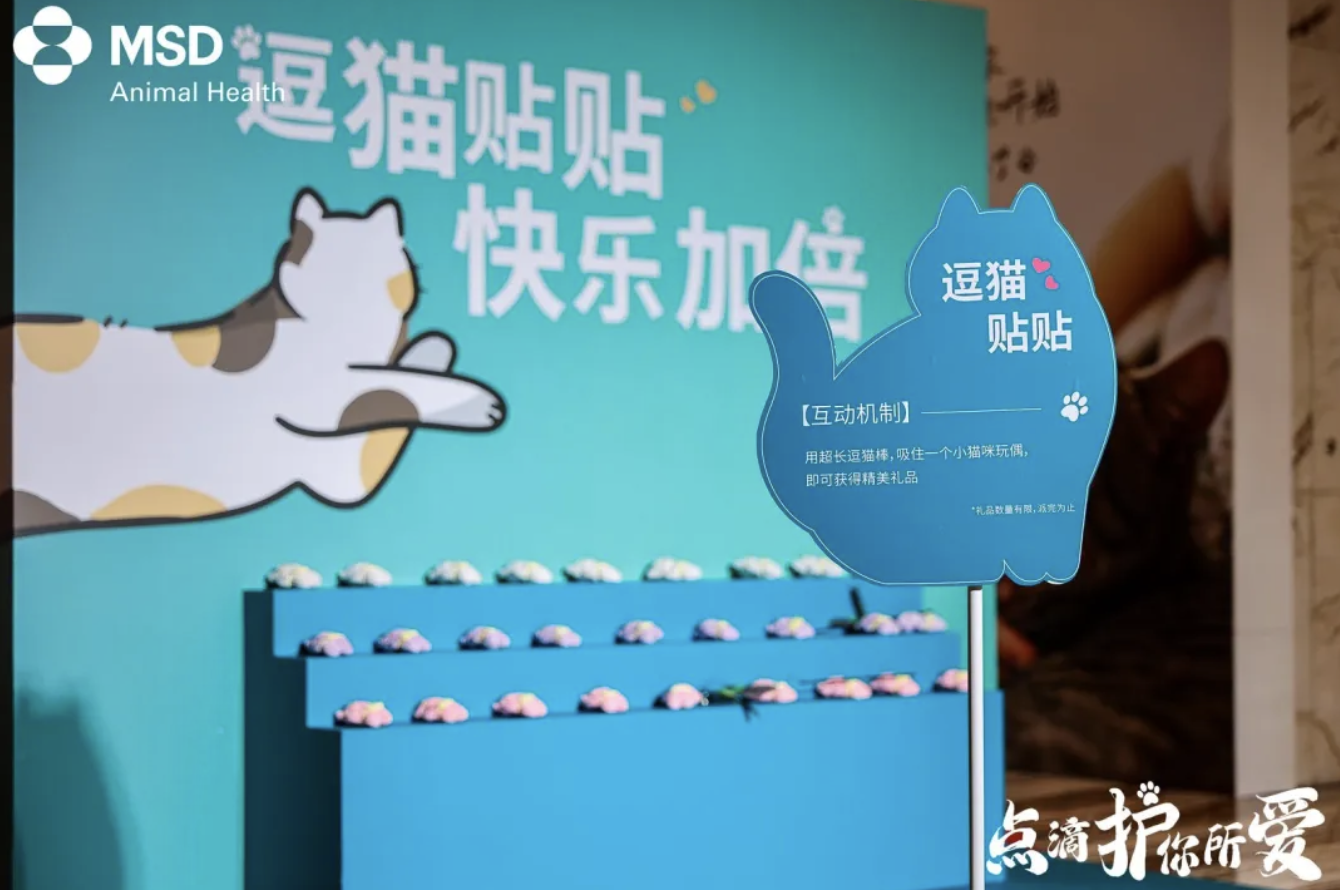 广告人干货库 在?进来看看猫片-广告人干货库
