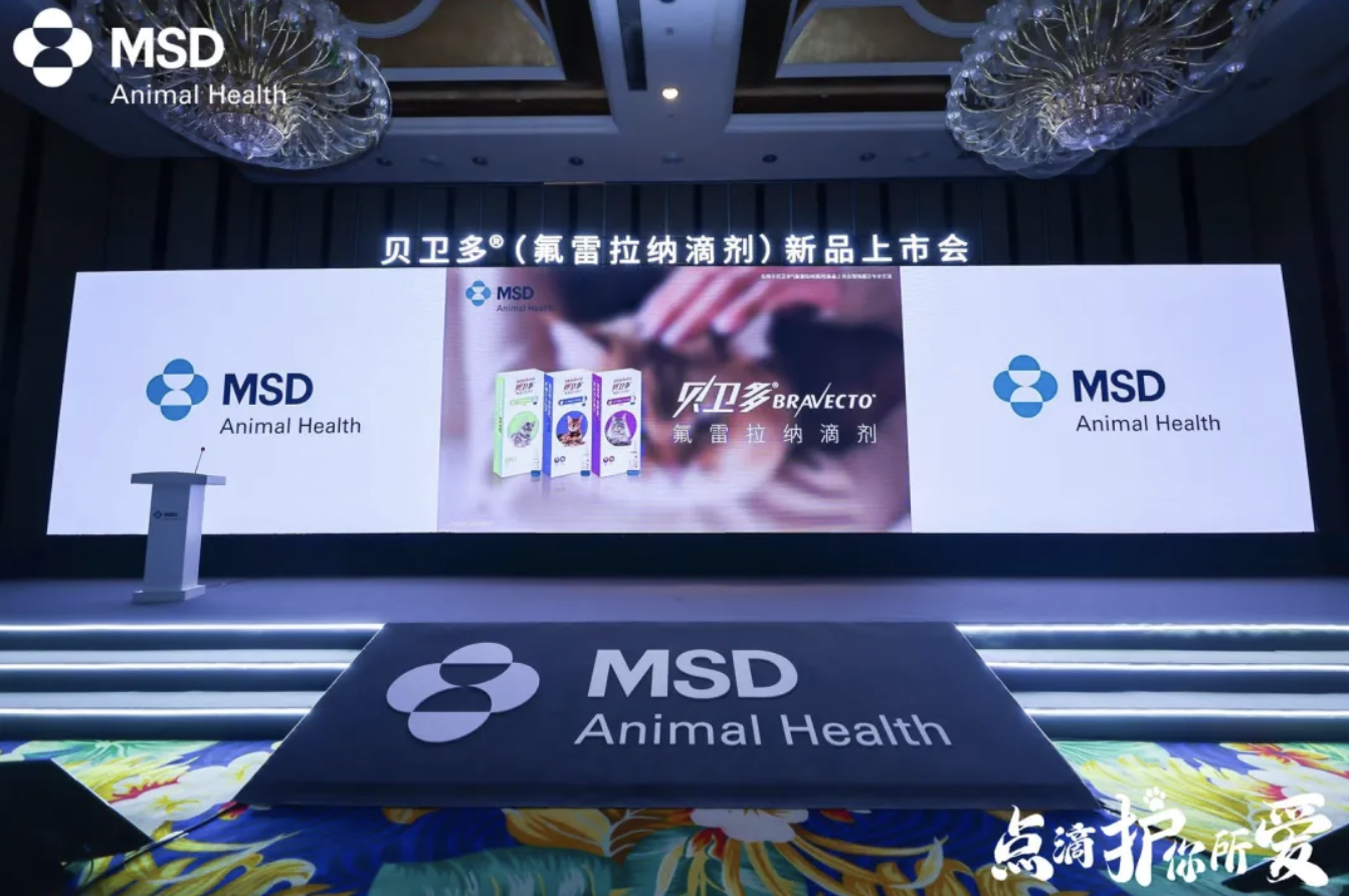 广告人干货库 在?进来看看猫片-广告人干货库