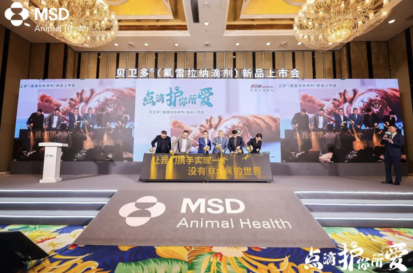 广告人干货库 在?进来看看猫片-广告人干货库