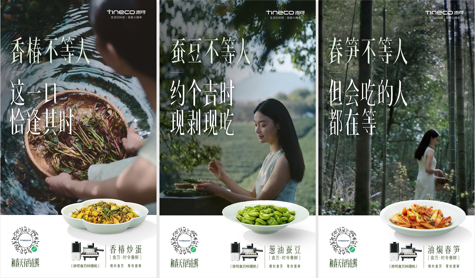 广告人干货库 添可食万:和春天有约在鲜-广告人干货库
