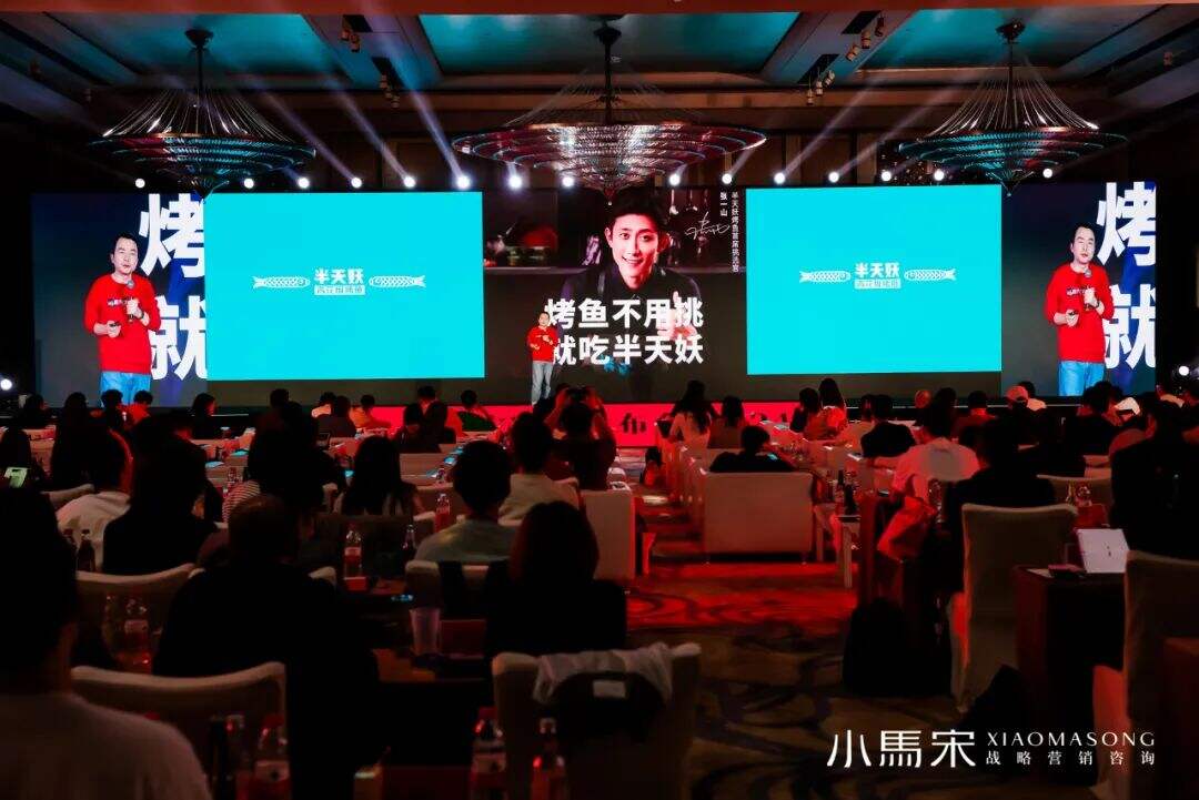 广告人干货库 一次讲透营销、品牌、推广和广告 | 小马宋2024年度演讲-广告人干货库
