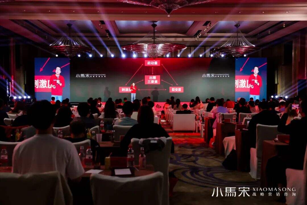 广告人干货库 一次讲透营销、品牌、推广和广告 | 小马宋2024年度演讲-广告人干货库