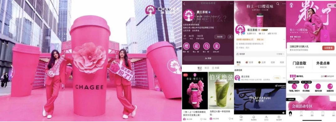 社媒洞察 | 火热的“春天”，如何在小红书发酵-广告人干货库